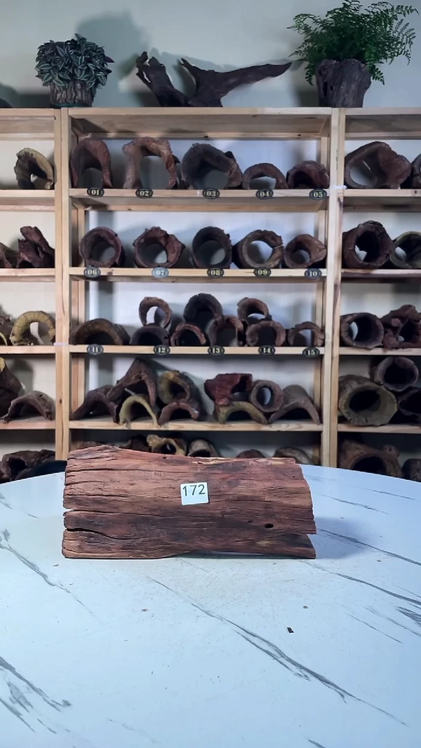 、*云南紫柚木造景沉木172