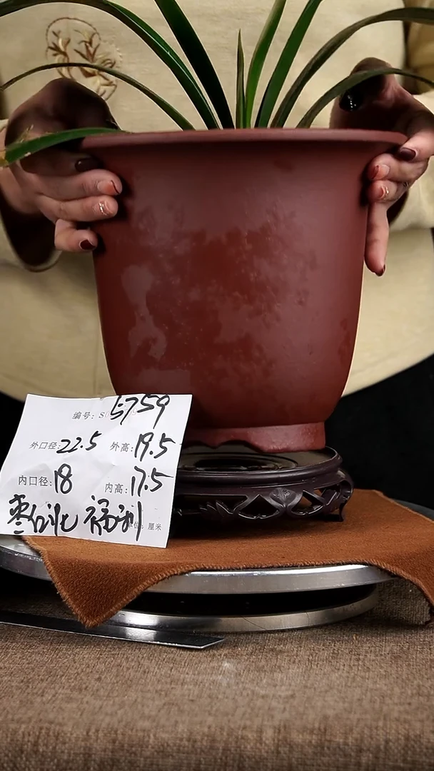 【闪购商品】紫砂花盆紫砂花盆5759