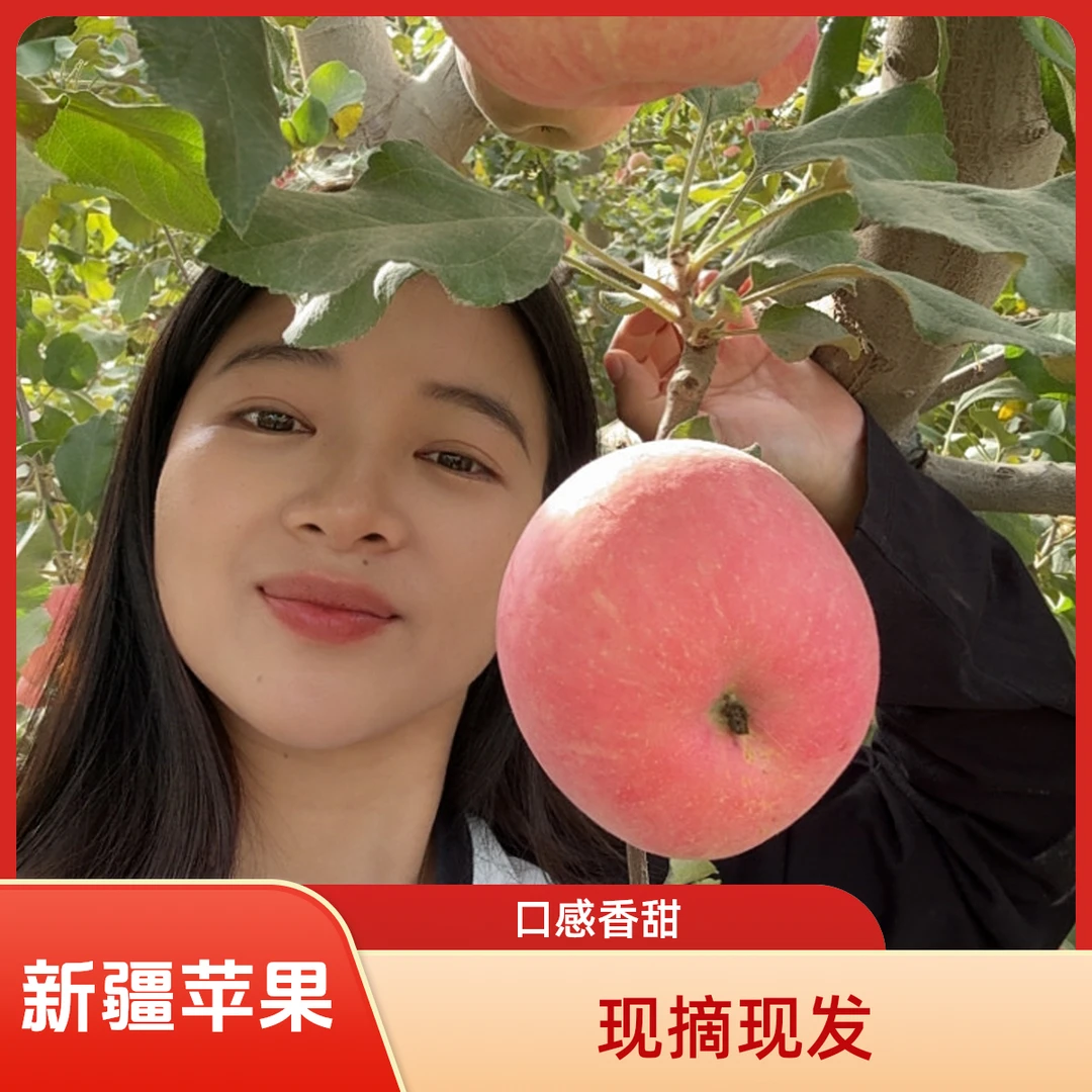 新疆阿克苏冰糖心苹果正宗核心产区红旗坡苹果顺丰包邮1