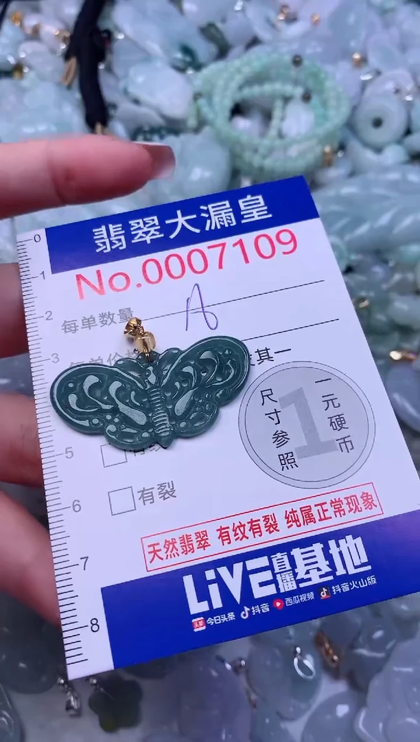 颈饰未镶嵌翡翠7109