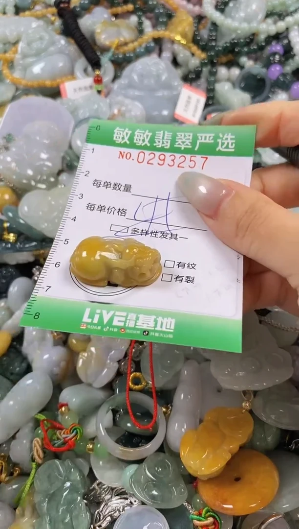 翡翠未镶嵌颈饰闪购0293257多样性发其一