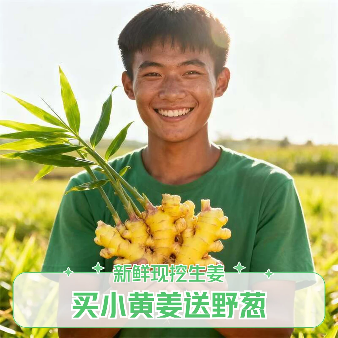 2025年【买小二黄姜送野葱】贵州特产本地高山现挖新鲜农家辛辣蔬菜