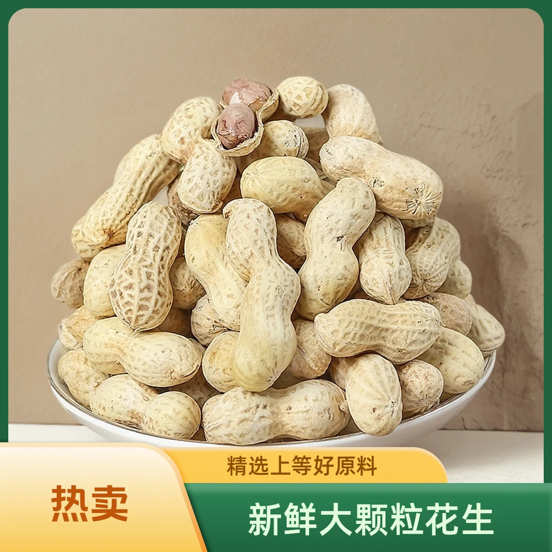 新鲜带壳五香味花生香香脆脆熟花生下酒彩菜农家干花生卤水煮花生