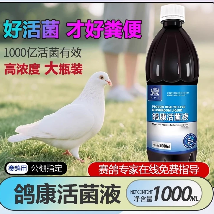 鸽康活菌王鸽用赛鸽信鸽鸽子鸟活菌1000毫升电商