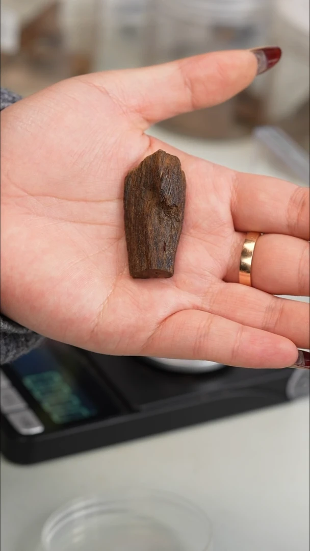 沉香沉香碎屑富森红土沉水料3.9克