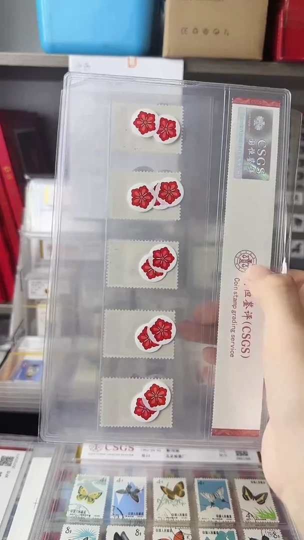 文4新票