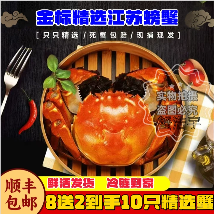 【金标活蟹】全母蟹8只装10只装㍚5-㍛0两洪泽湖螃蟹顺丰包邮礼盒装