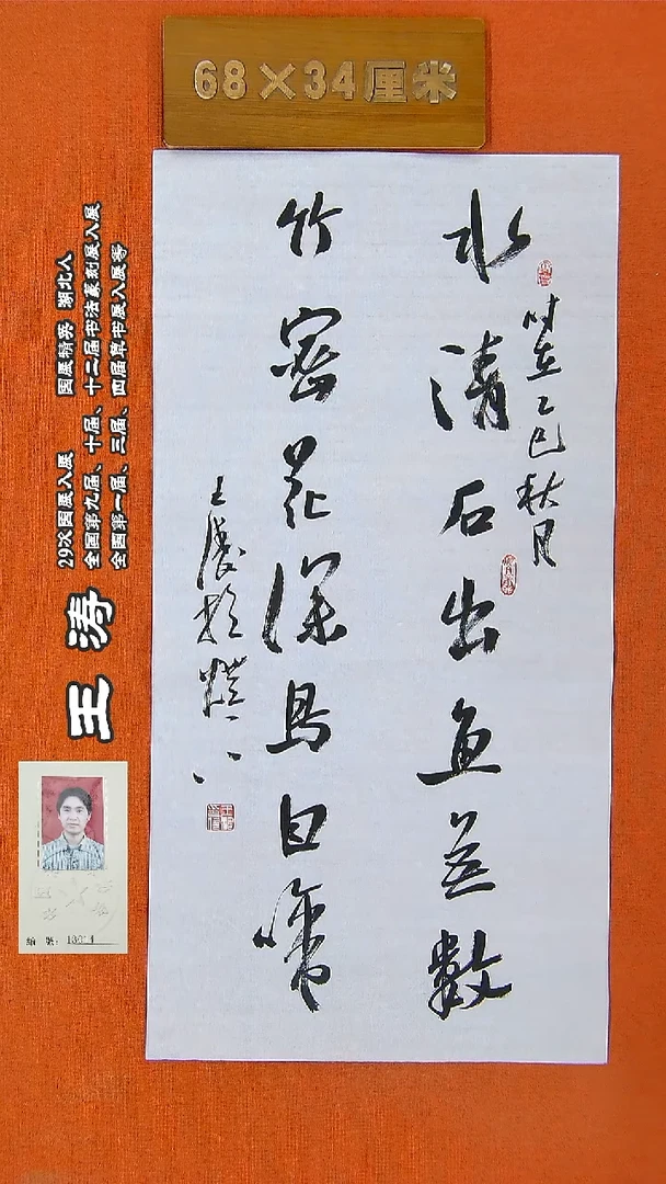 书法104王涛书法作品