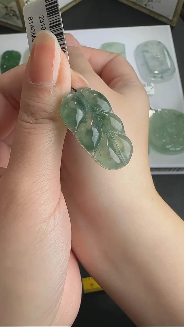 【闪购商品】翡翠颈饰未镶嵌WY0119055