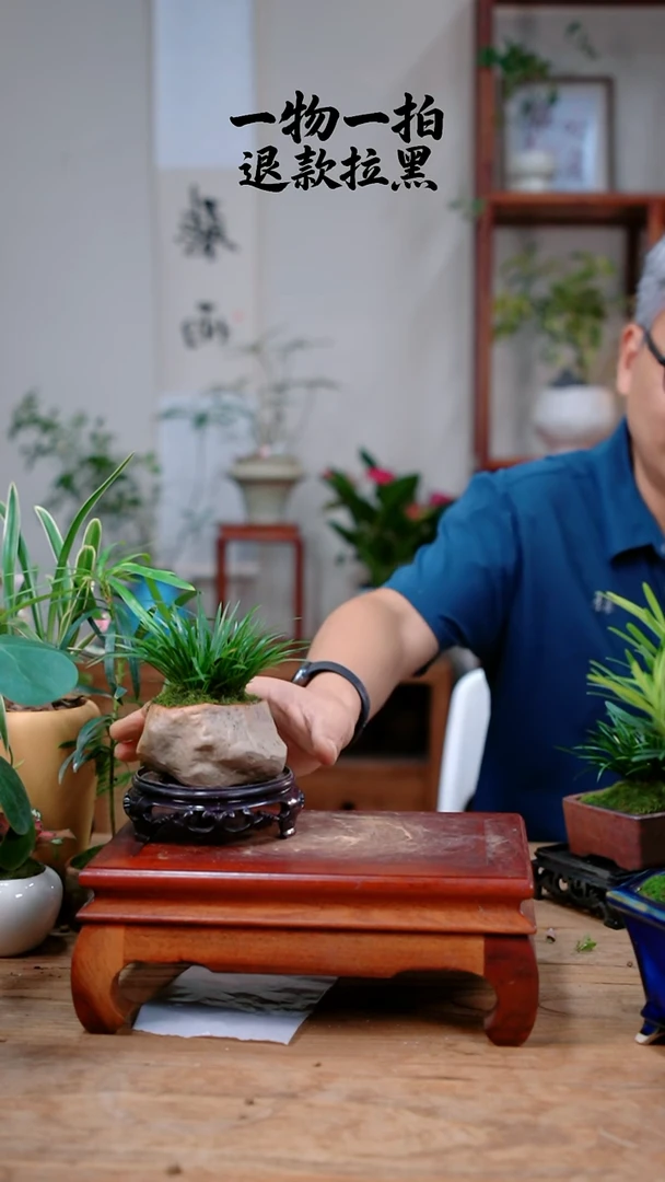 完全开放乐***果菖蒲347