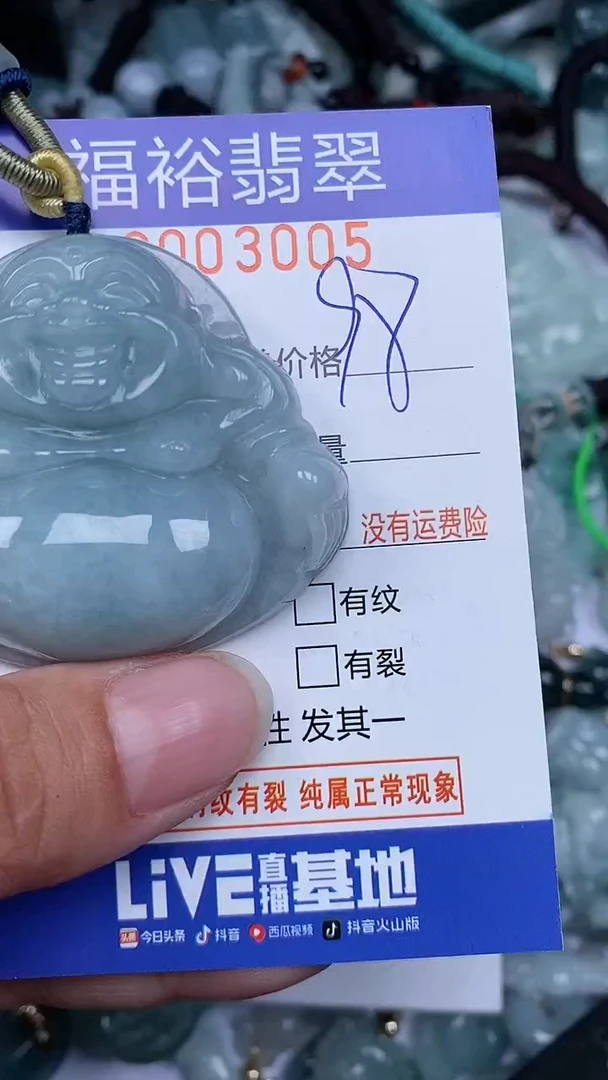 翡翠未镶嵌颈饰...0003005