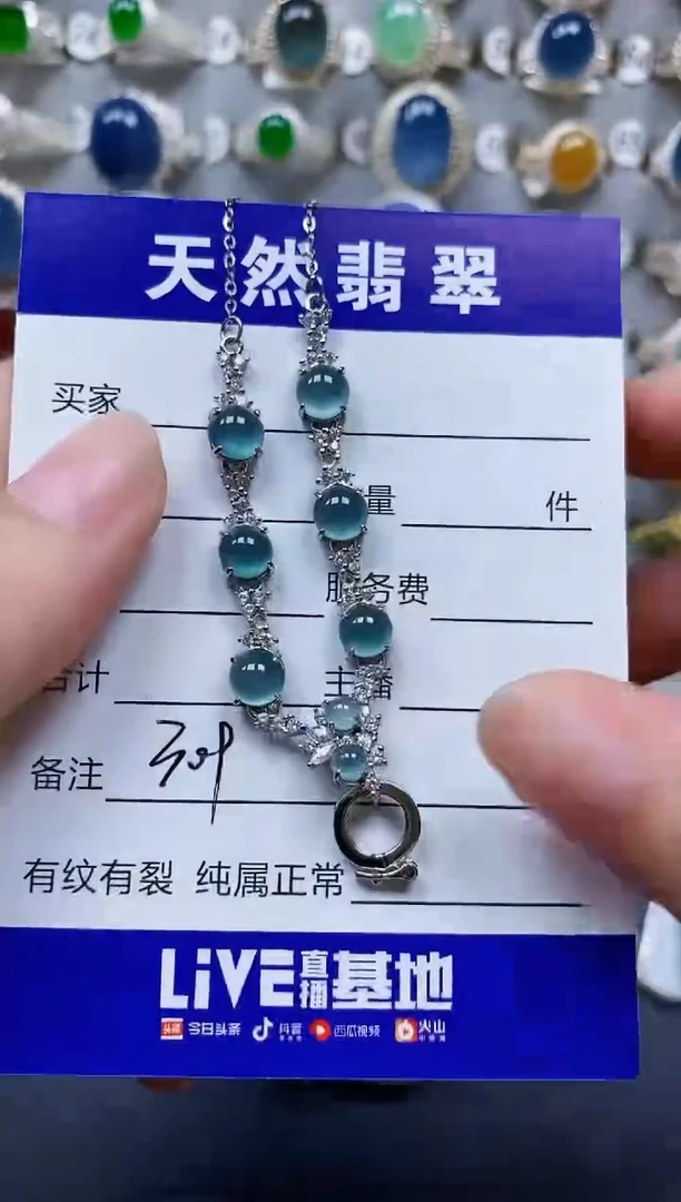 翡翠银S925镶嵌颈饰309