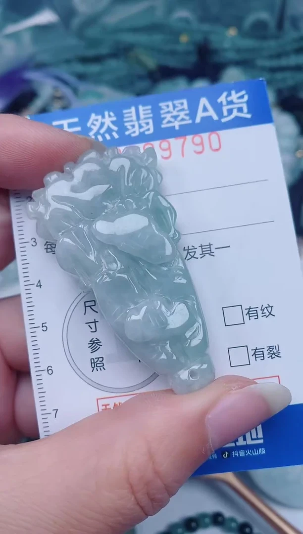 颈饰未镶嵌翡翠00009790