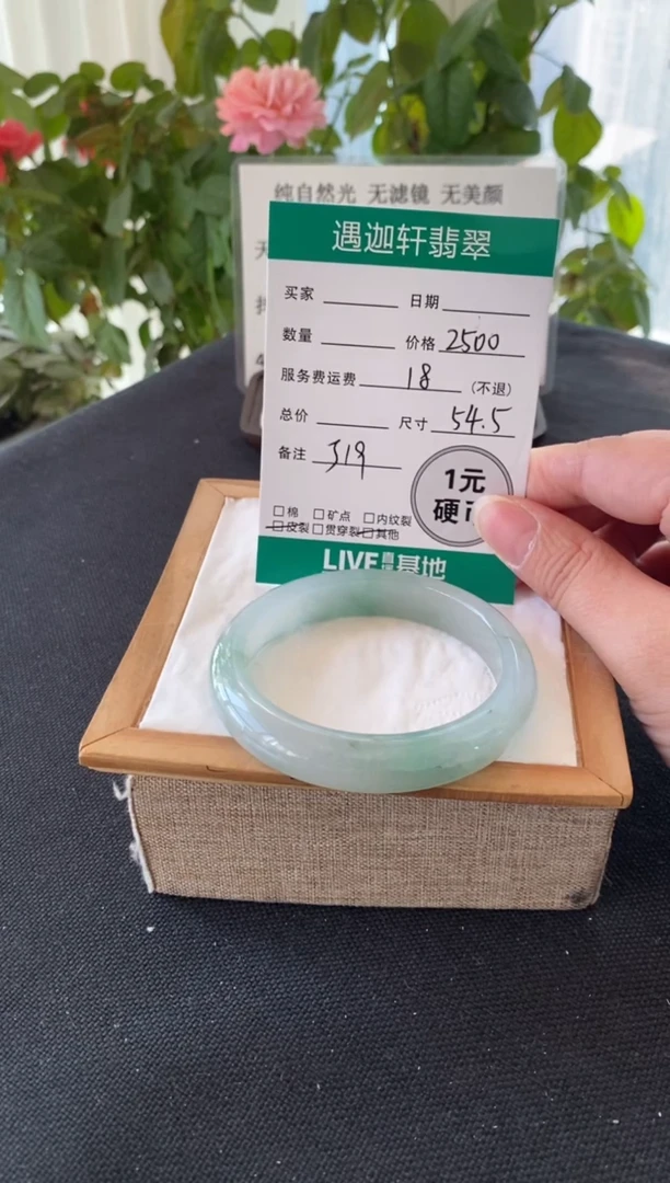 未镶嵌手镯翡翠54.5圈口 J19编码