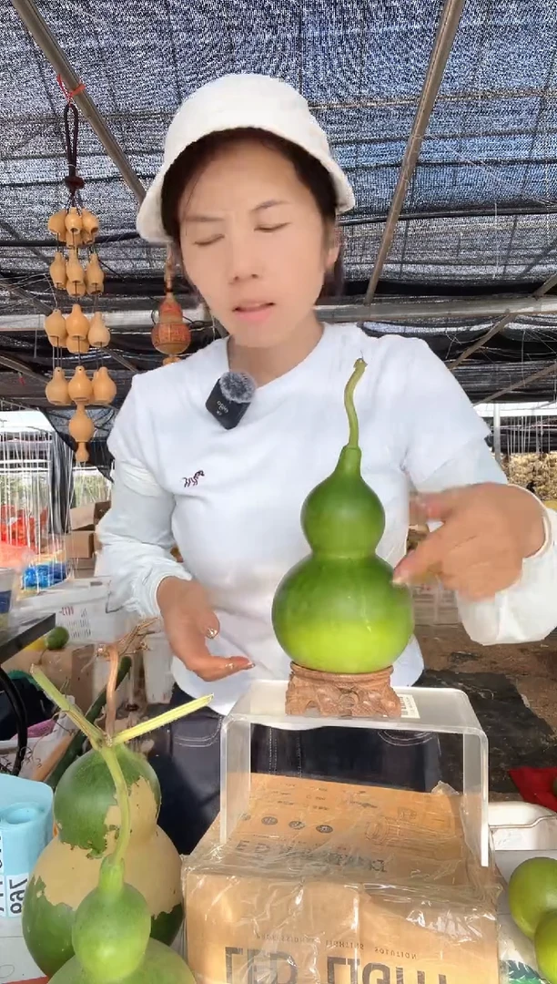 769天然葫芦摆件 一物一拍龙头不保售后