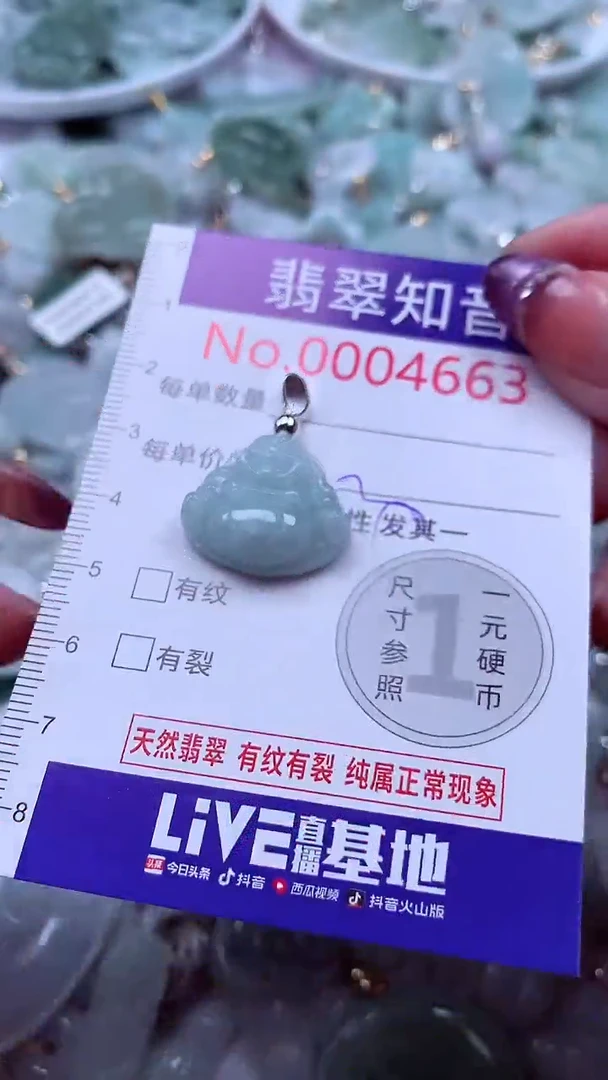 翡翠未镶嵌吊坠(不含链)4663