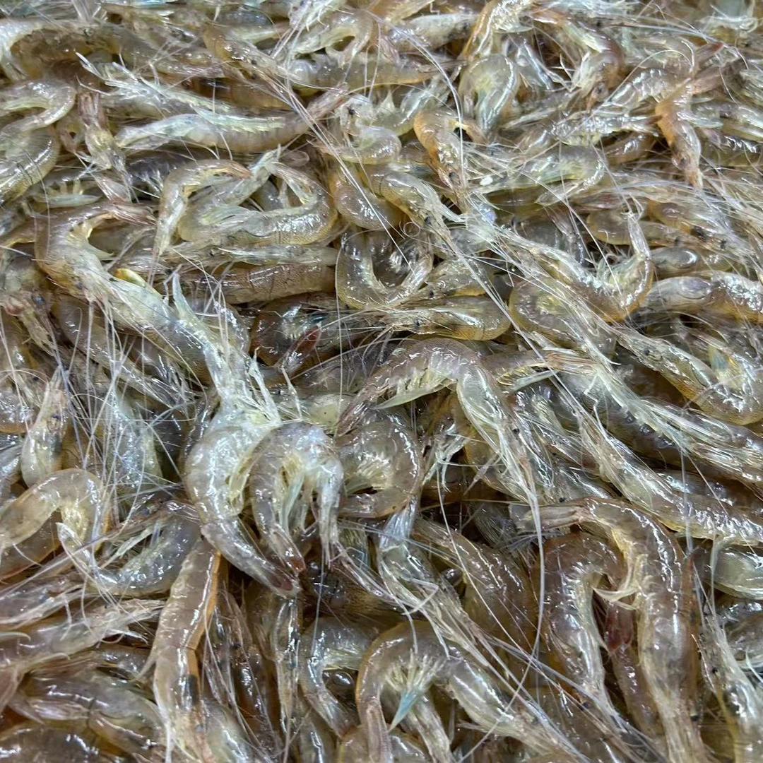 小青虾 250g（海鲜）[保鲜不保活]
