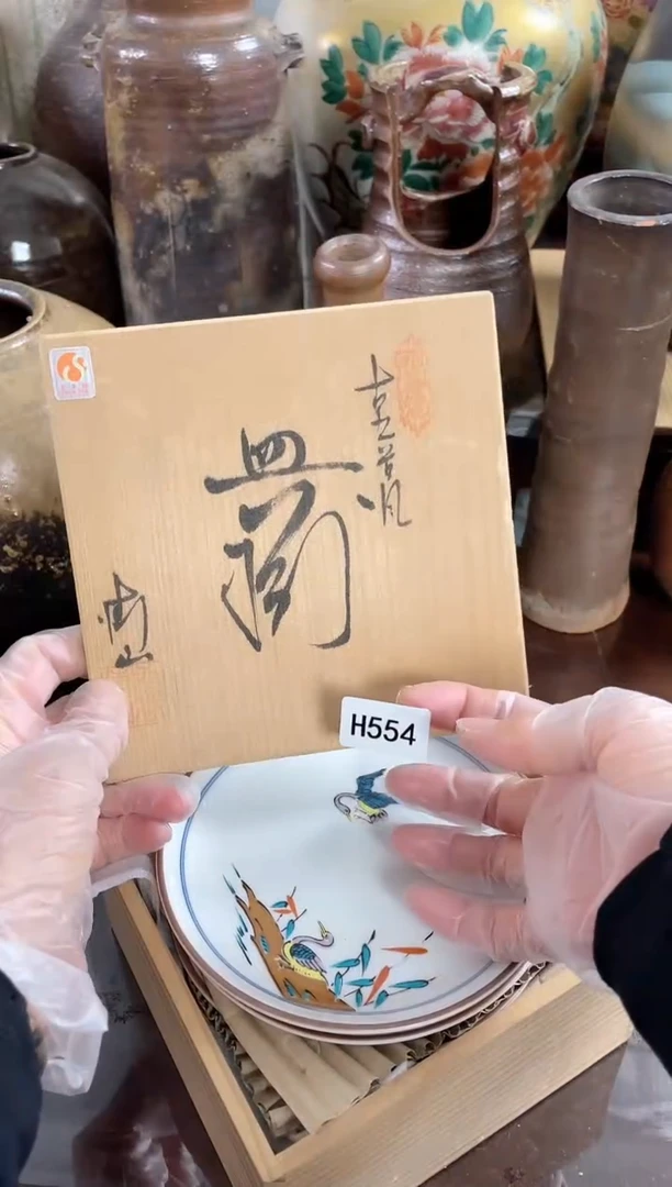 V***L安佳佳直播间h554