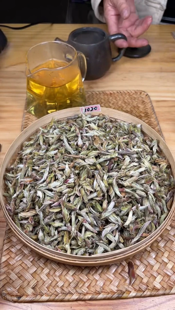 【闪购商品】壶1020号陶【白云推荐】芽300克