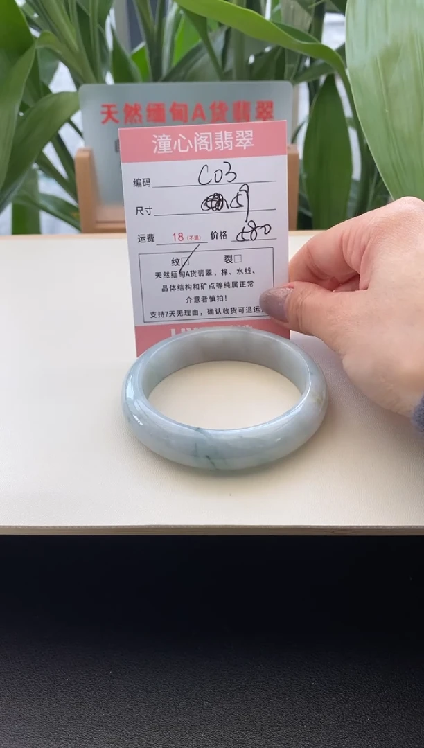 未镶嵌手镯翡翠59.1圈口c03