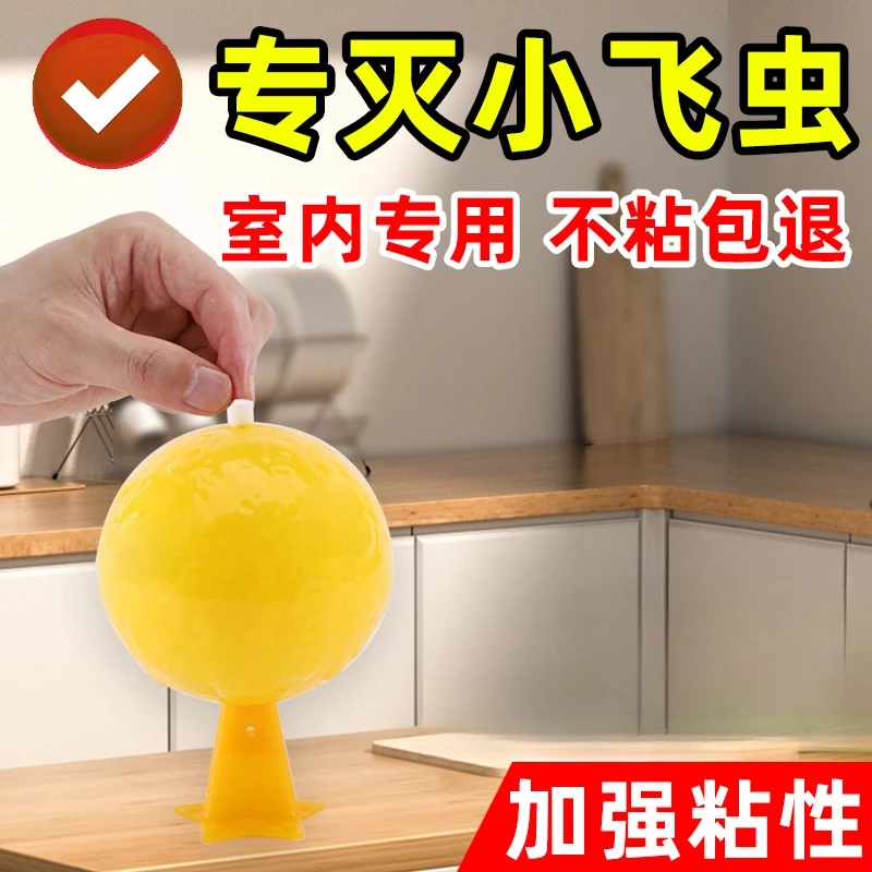 果蝇诱捕器飞虫克星灭杀神器蠓虫粘虫球诱苍蝇球厨房去室内小飞虫