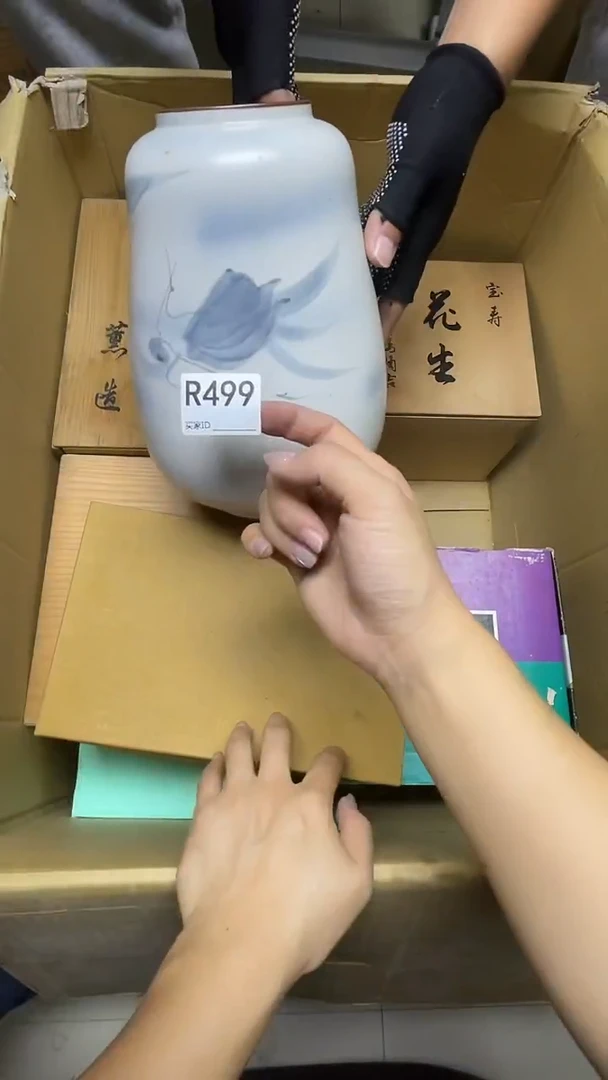 瓷片三**光R499默认微瑕，谨慎参拍