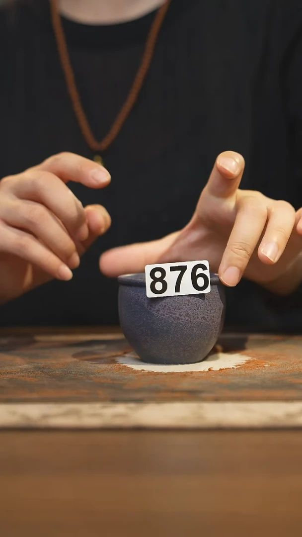 陶瓷茶器茶具主人杯876
