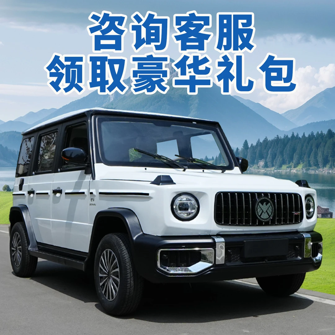 2025新能源款家用电动四轮车成人全封闭代步车女士接送低速电瓶车