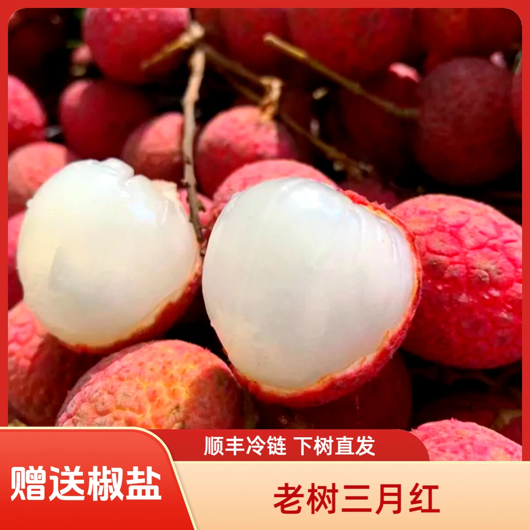 【顺丰冷链】广西灵山正宗老树熟三月红荔枝现摘时令水果新鲜送椒盐