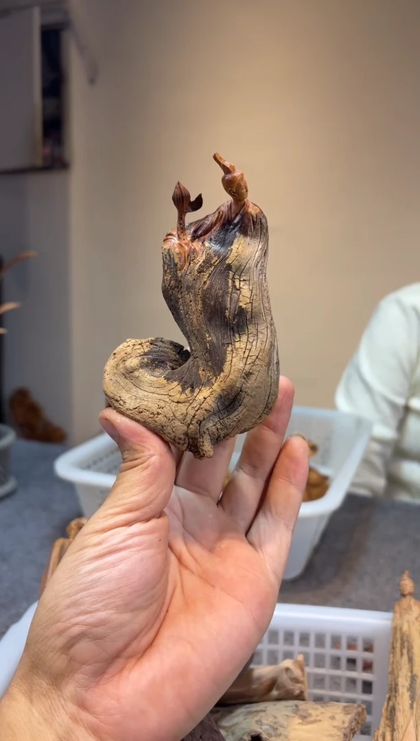 木剧*崖柏崖柏崖柏