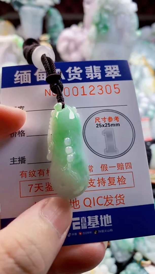 翡翠未镶嵌吊坠(不含链)1