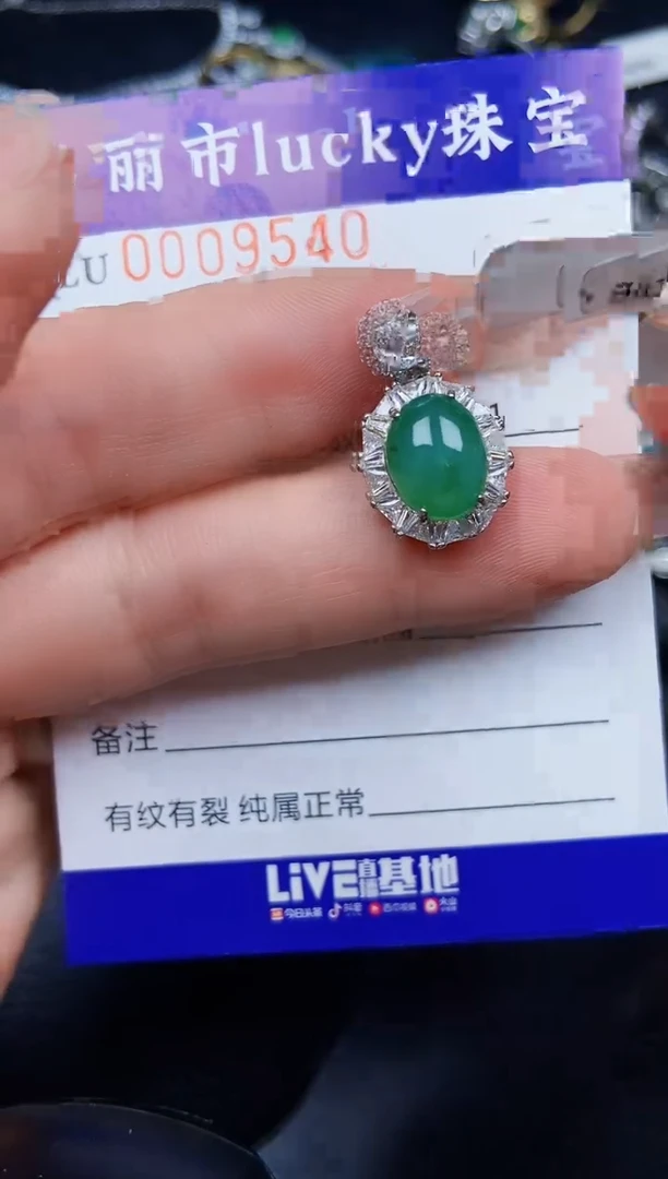 翡翠银S925镶嵌颈饰9540
