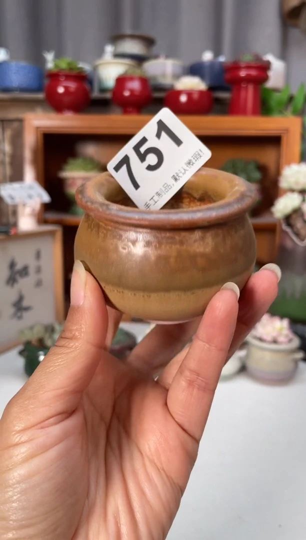 瓷片751小芳直播编号