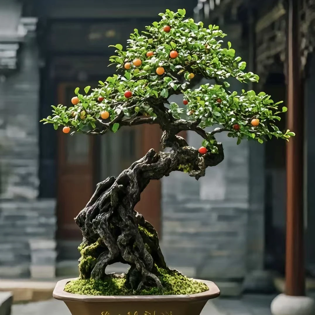 4金蛋子瓶兰花一物一拍