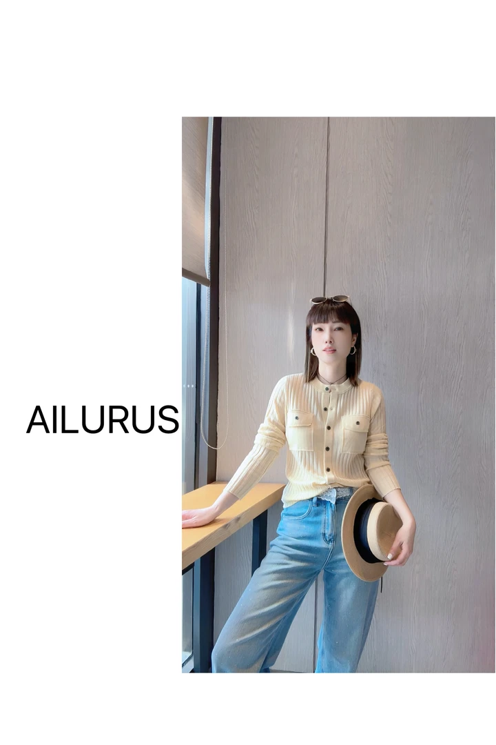 AILURUS【色彩之美】2025早春欧货显瘦百搭气质上衣
