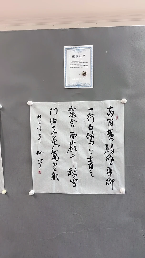 【闪购商品】书法雅艺典藏文化书法