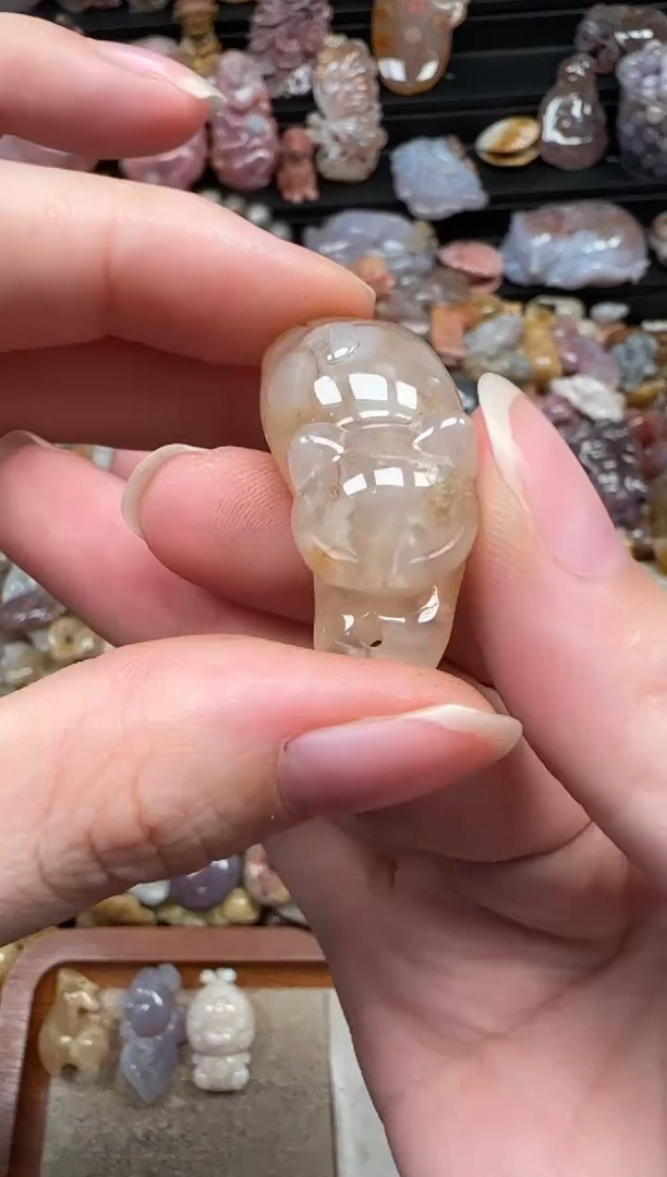 颈饰未镶嵌硅化珊瑚（珊瑚玉）924