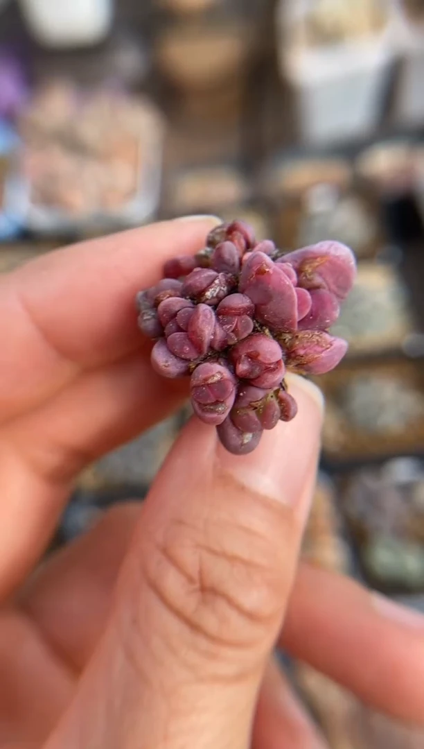 【闪购商品】8079直播一物一拍