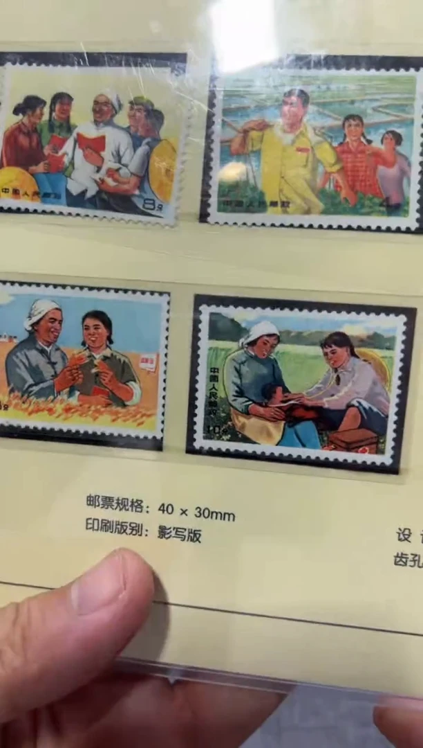 文17 知青套票 封装评级