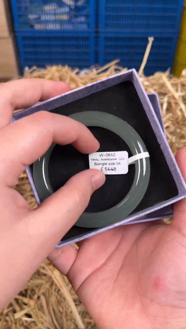 未镶嵌手镯石英质玉W0842