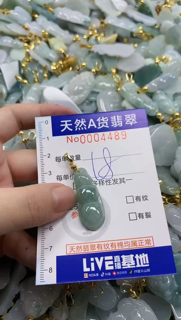 颈饰未镶嵌翡翠天然A货翡翠