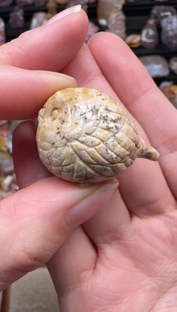 颈饰未镶嵌硅化珊瑚（珊瑚玉）822