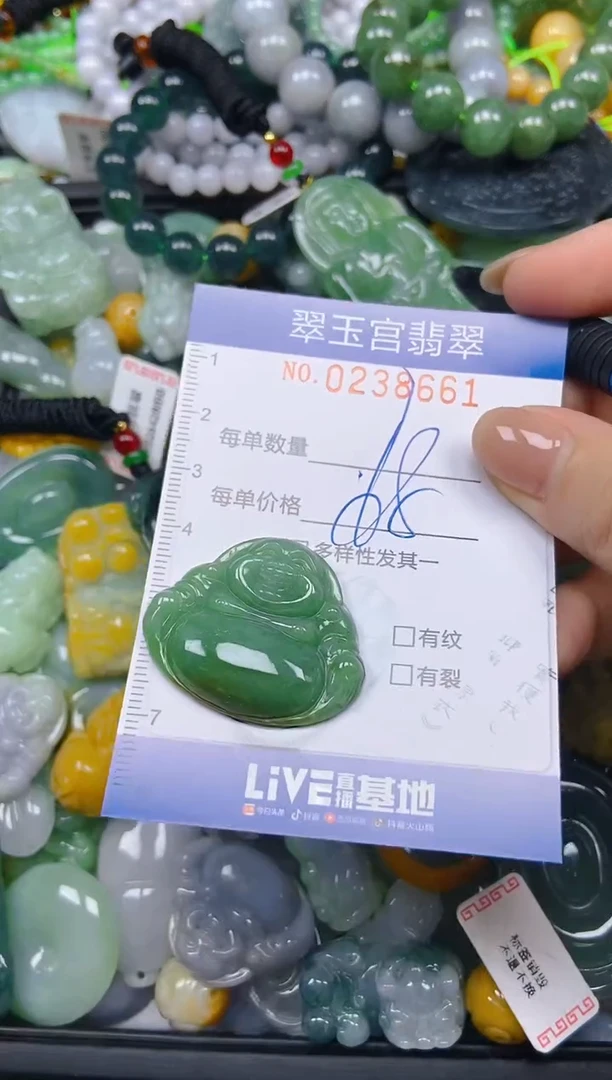 颈饰未镶嵌翡翠闪购C0238661