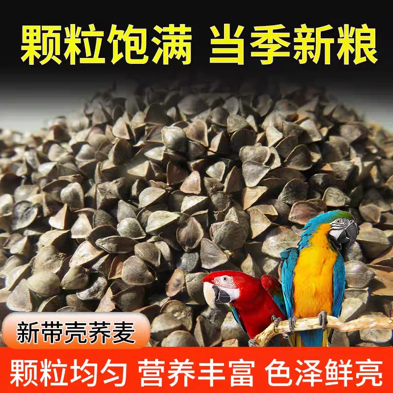 带壳荞麦原荞麦玄凤和尚小太阳鹦鹉鸟食物鸟粮饲料仓鼠的主粮谷物