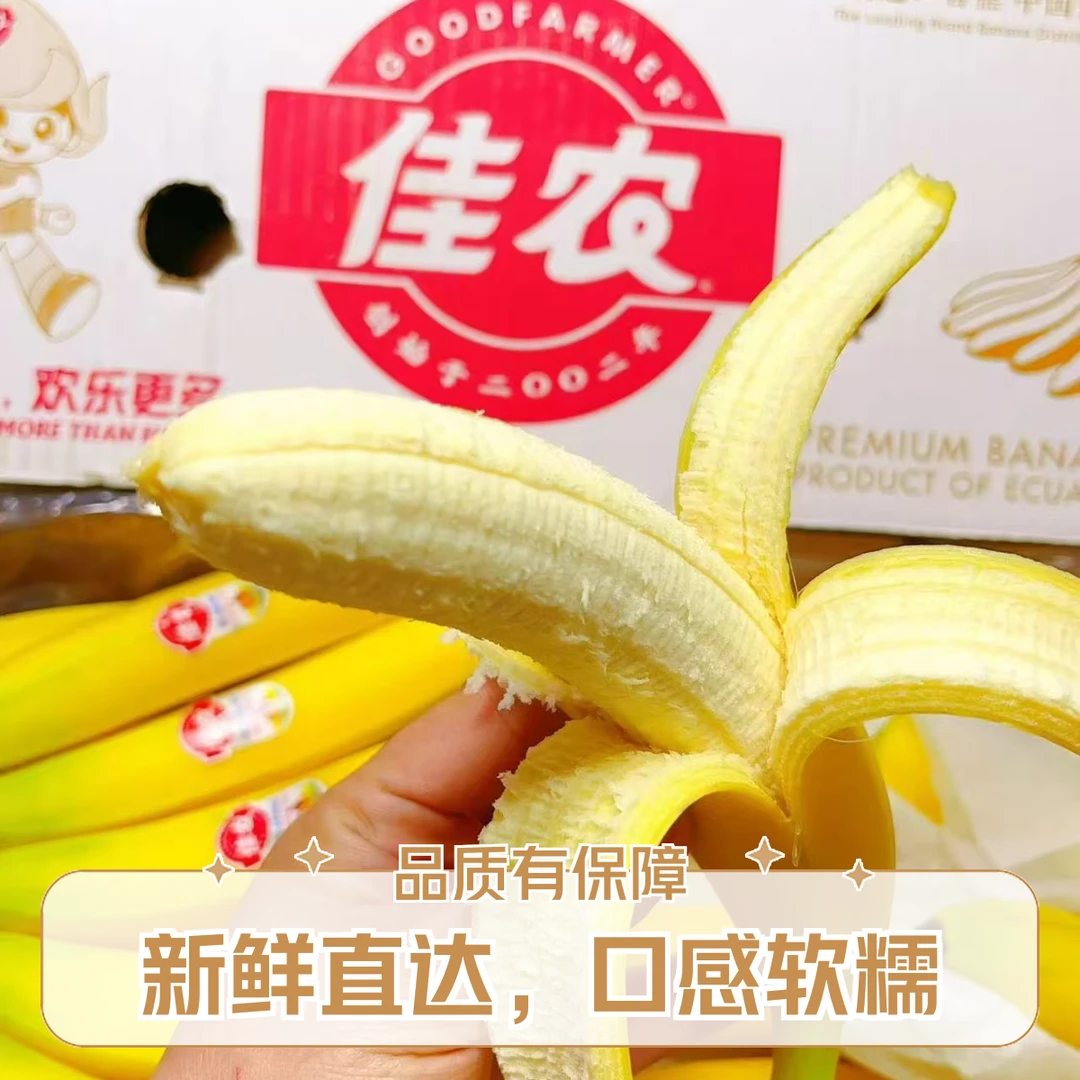 佳农香蕉1000g