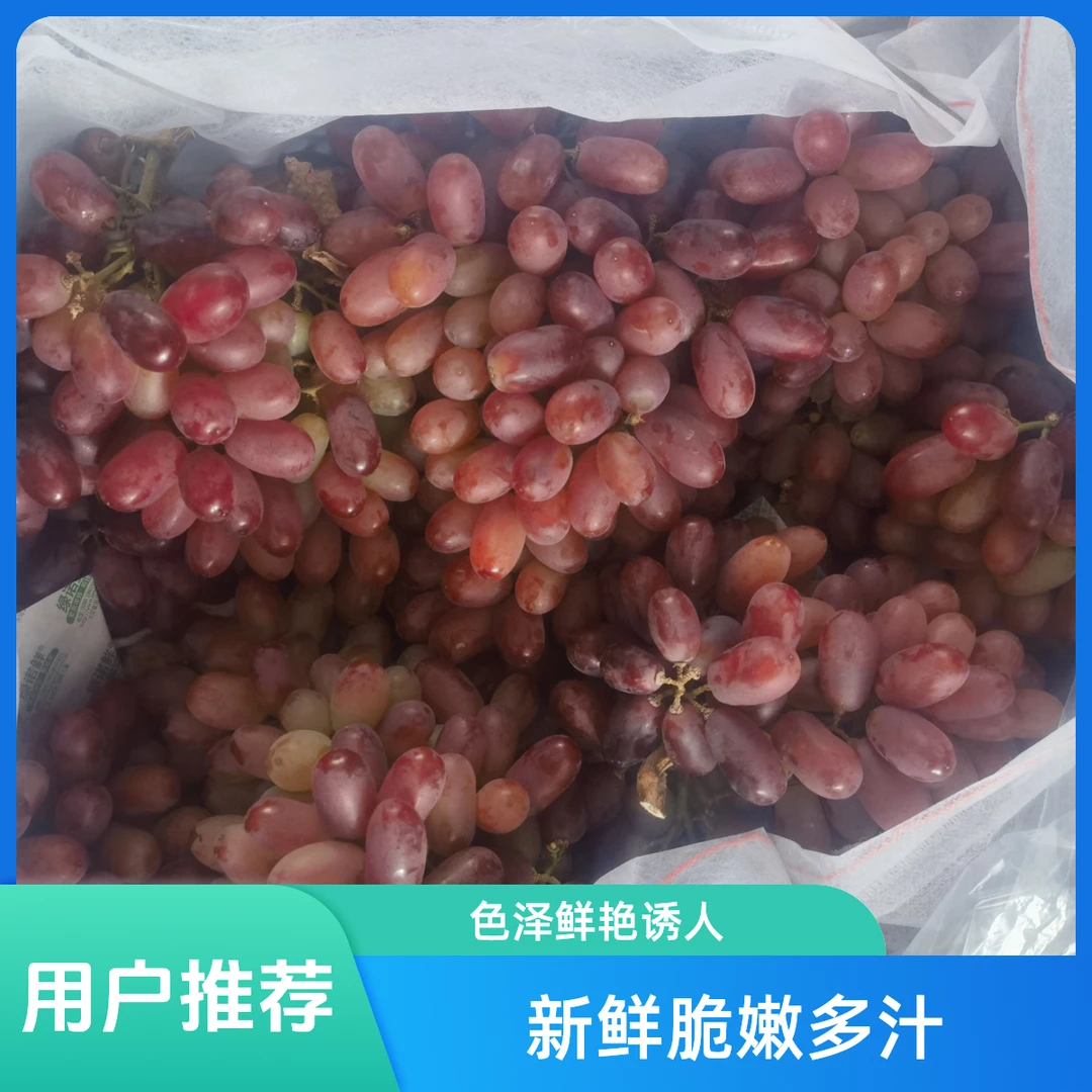 克伦生无籽红提三斤