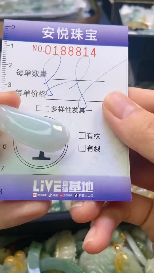 翡翠未镶嵌颈饰闪购0188814