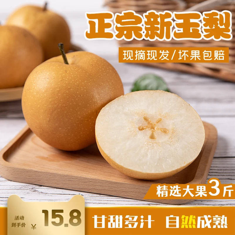 新鲜砀山新玉梨当季现摘现发黄皮脆甜多汁梨子