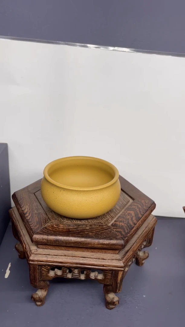 茶壶紫砂黄金段 普洱杯