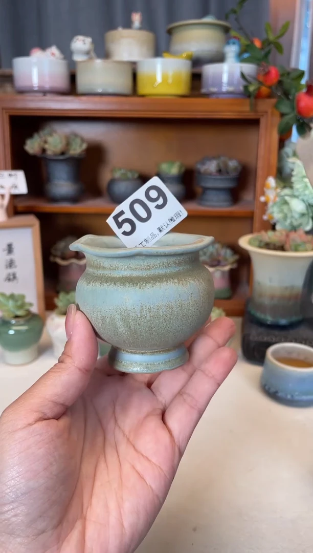 瓷片509知木小芳花盆